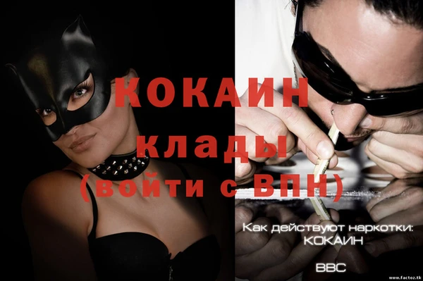 твердый Дмитриев