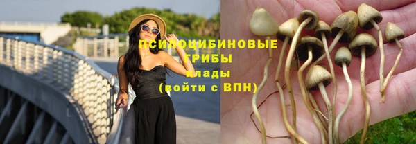 скорость Дмитров