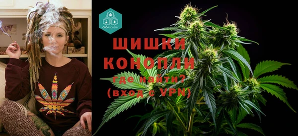 твердый Дмитриев