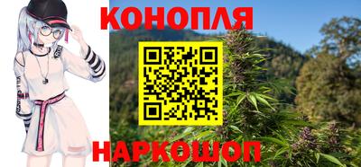 прущие крисы Бийск