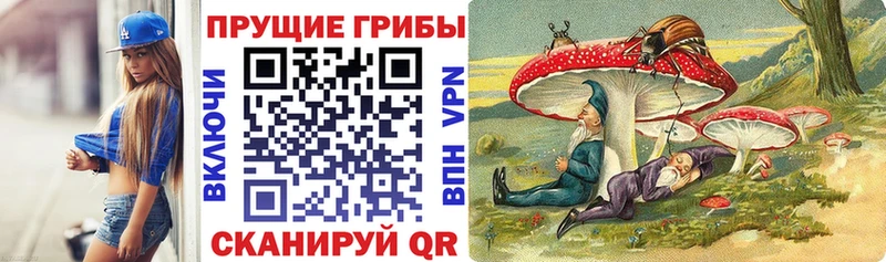где продают   Вязники  Псилоцибиновые грибы GOLDEN TEACHER 