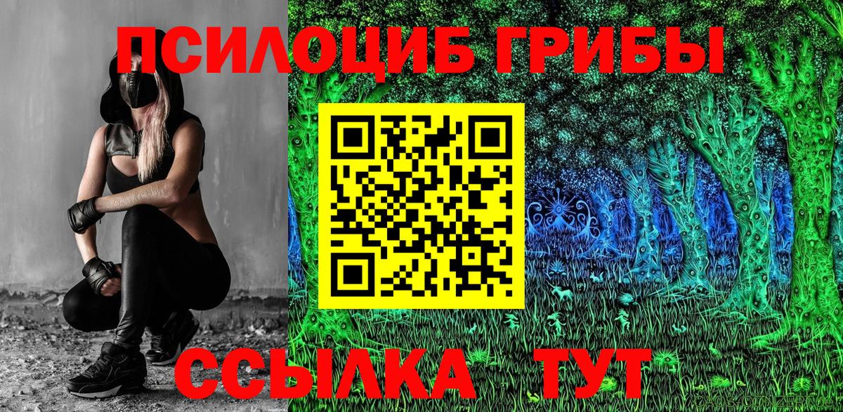 Вязники  Галлюциногенные грибы мухоморы  Вход с VPN 
