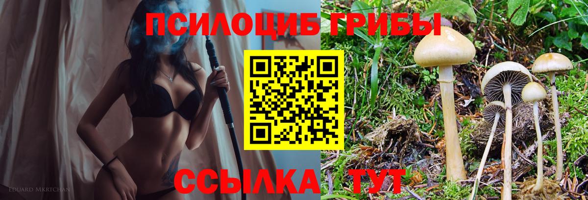 Галлюциногенные грибы MAGIC MUSHROOMS  наркота  Вязники 