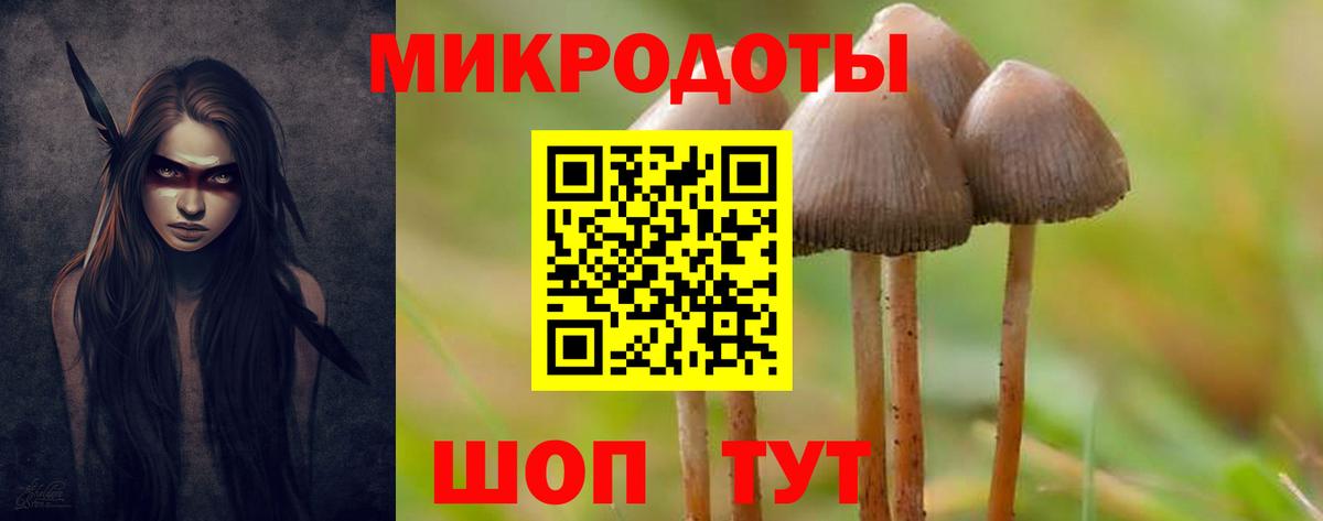 Псилоцибиновые грибы Cubensis Вязники